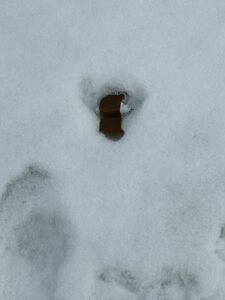 В Запорізькому районі зафіксовано підвищену мінну небезпеку